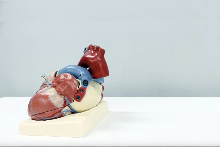 Sauna For Heart Health Regulating Cholesterol For Cardiovascular